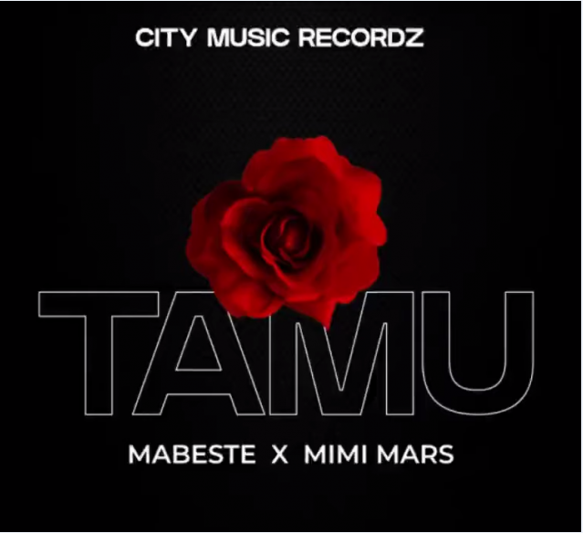 Photo of Mabeste Ft. Mimi Mars – Tamu (Audio Song)
