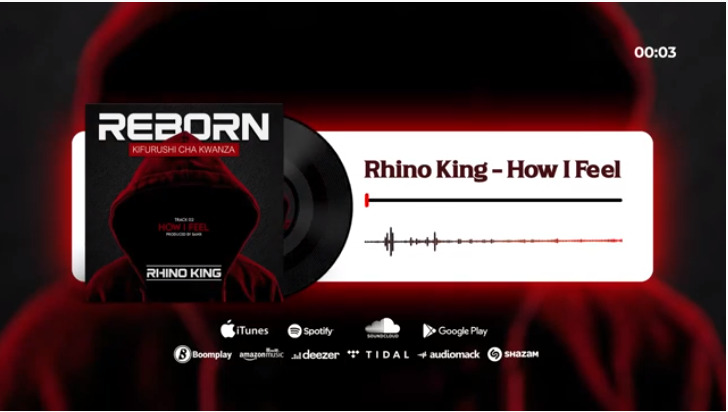 Photo of Rhino King – How I Feel