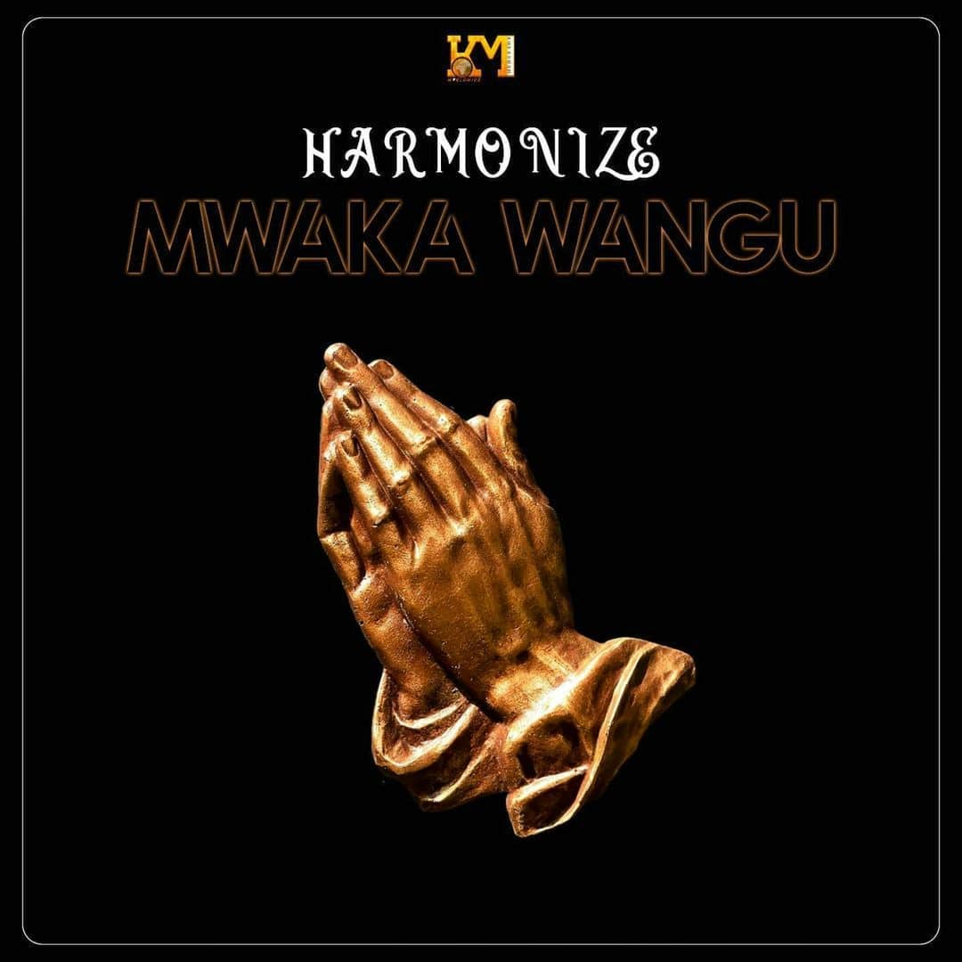 Photo of Harmonize – Mwaka Wangu Mp3 Download