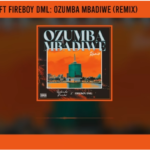 Reekado Banks Ft Fireboy DML – Ozumba Mbadiwe (Remix)