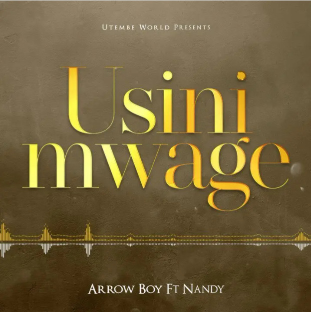 Arrow Bwoy Ft Nandy - Usinimwage