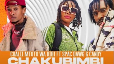 Photo of AUDIO | Chalii mtoto wa Bibi Ft Spac Dawg & Candy – Chakubimbi | Download