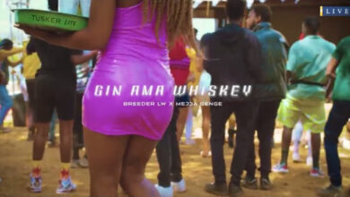 Photo of VIDEO Breeder LW Ft Mejja – Gin Ama Whiskey Mp4 Download