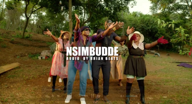 VIDEO Eddy Kenzo - Nsimbudde Mp4 Download