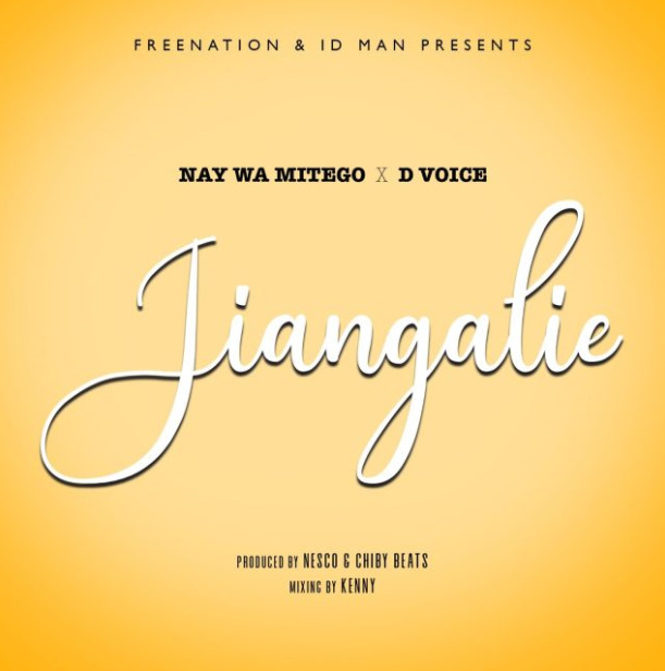 AUDIO D Voice Ft Nay Wa Mitego - Jiangalie Mp3 Download