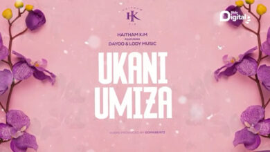 Photo of AUDIO | Haitham Kim Ft Dayoo & Lody Music – Ukaniumiza Remix | Download