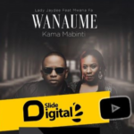 Lady Jaydee Ft Mwana FA - Wanaume kama Mabinti Mp3 Download