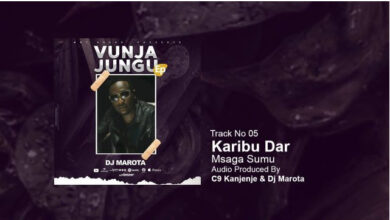 Photo of AUDIO: Msaga Sumu – Karibu Dar | Mp3 Download