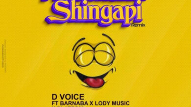 Photo of AUDIO D Voice Ft Barnaba X Lody Music X Platform Tz – Kuachana Shingapi Mp3 Download