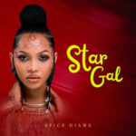 AUDIO Spice Diana - Boss Mp3 Download