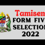 Form Five Selection 2022 Mikoa Yote