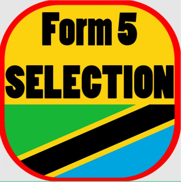 Form Five selection 2022 Dar Es Salaam Region PDF Download