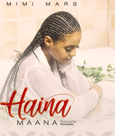 Mimi Mars - Haina Maana Download