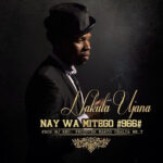Nay Wa Mitego - Nakula Ujana Download