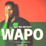 Nay Wa Mitego - Wapo Download