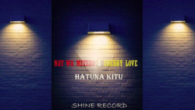 Photo of AUDIO | Nay Wa mitego Ft Shebby Love – Hatuna Kitu | Download