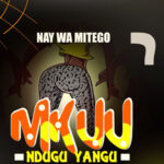 Nay Wa mitego - Mkuu Ndugu Yangu Download