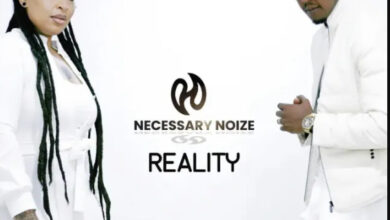 Photo of AUDIO | Necessary Noize – Reality | Download