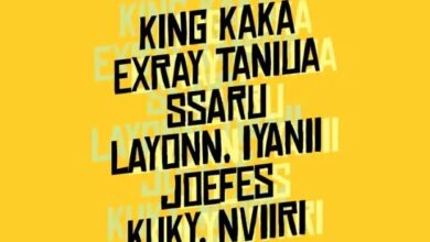 Photo of AUDIO King Kaka Ft Iyanii x Layonn x Exray Taniua x Kuky x Ssaru & Joefes – Maliza Na Pombe Remix Mp3 Download