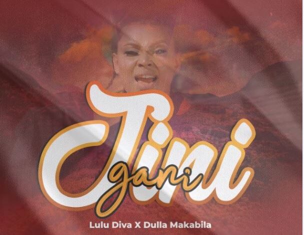 AUDIO Lulu Diva Ft Dulla Makabila – Jini Gani Mp3 Download
