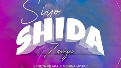 Photo of AUDIO Seneta Kilaka Ft Mchina Mweusi – Sio shida Zangu Mp3 Download