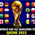 FIFA World Cup 2022 Qualified Teams