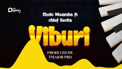 Photo of AUDIO: Sholo Mwamba Ft Chief Becka – Viburi | Mp3 Download