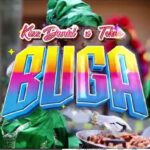 VIDEO Kizz Daniel Ft Tekno - Buga Mp4 Download