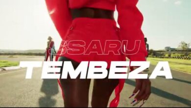 Photo of VIDEO Ssaru Ft Breeder LW – Tembeza Mp4 Download