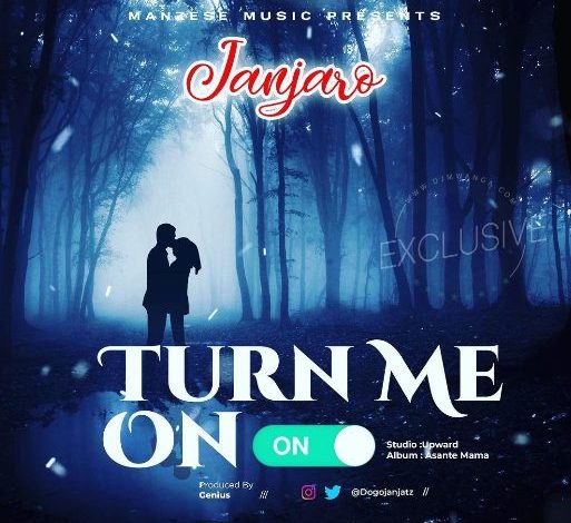 AUDIO Dogo Janja - Turn Me On Mp3 Download