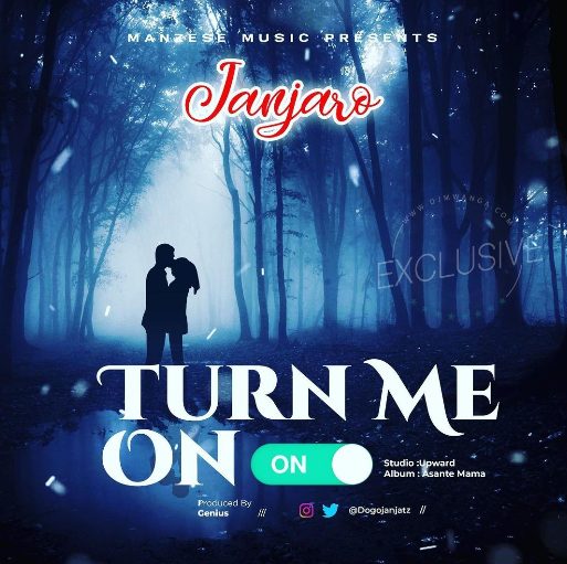 AUDIO Dogo Janja - Turn Me On Mp3 Download