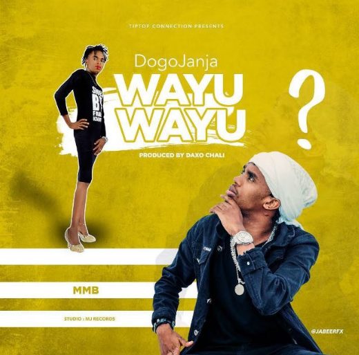 AUDIO Dogo Janja - Wayu Wayu Mp3 Download