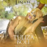 AUDIO Linah - Tuliza Boli Mp3 Download