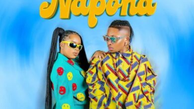 Photo of AUDIO: Nandy Ft Oxlade – Napona | Mp3 Download