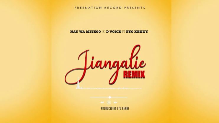 Nay Wa Mitego Ft Eyoo Kenny & D Voice – Jiangalie Remix