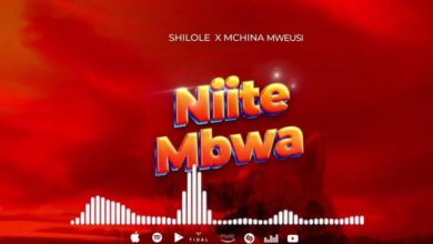Photo of AUDIO: Shilole Ft Mchina Mweusi – Niite Mbwa | Mp3 Download