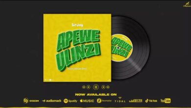 Photo of AUDIO: Sir Jay – Apewe Ulinzi (Young African Song) | Mp3 Download