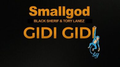 Photo of AUDIO: Smallgod Ft Black Sherif & Tory Lanez – Gidi Gidi | Mp3 Download