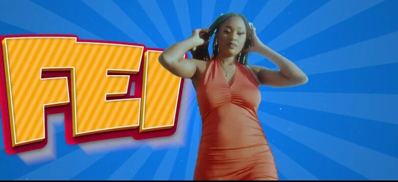 VIDEO King Kaka Ft Ndovu Kuu – Fei Mp4 Download