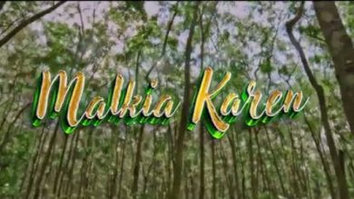 Photo of VIDEO Malkia Karen – Te Queiro Mp4 Download