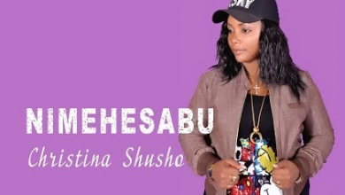 Photo of AUDIO: Christina Shusho – Hesabu | Mp3 Download