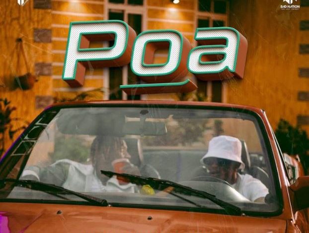 Country Wizzy Ft Marioo – Poa