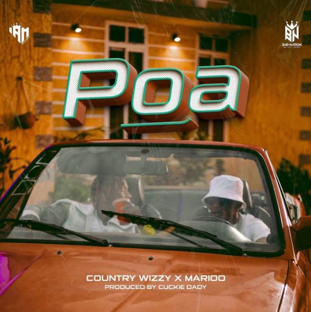 Country Wizzy Ft Marioo – Poa