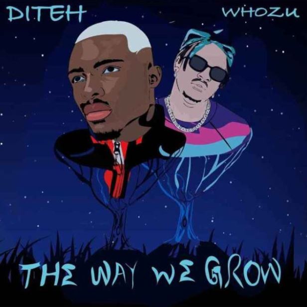 Diteh Ft Whozu – The Way We Grow Remix