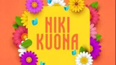 Photo of AUDIO: Nay Wa Mitego Ft Alikiba – Nikikuona | Mp3 Download