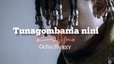 Photo of AUDIO: Ochu Sheggy – Tunagombania Nini | Mp3 Download