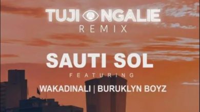 Photo of AUDIO: Sauti Sol Ft Wakadinali & Buruklyn Boyz – Tujiangalie Remix | Mp3 Download