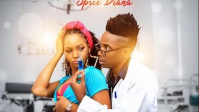 Photo of AUDIO: Spice Diana – Doctor | Mp3 Download