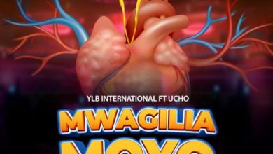 Photo of AUDIO: YLB International Ft Ucho – Mwagilia Moyo | Mp3 Download