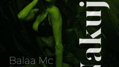 Photo of AUDIO: Balaa Mc Ft Marioo – Nakuja | Mp3 Music Download